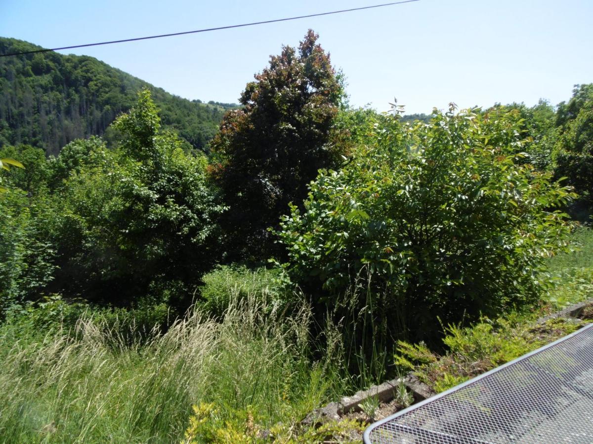 Ferienwohnung Schaefer Waldbreitbach Exterior foto