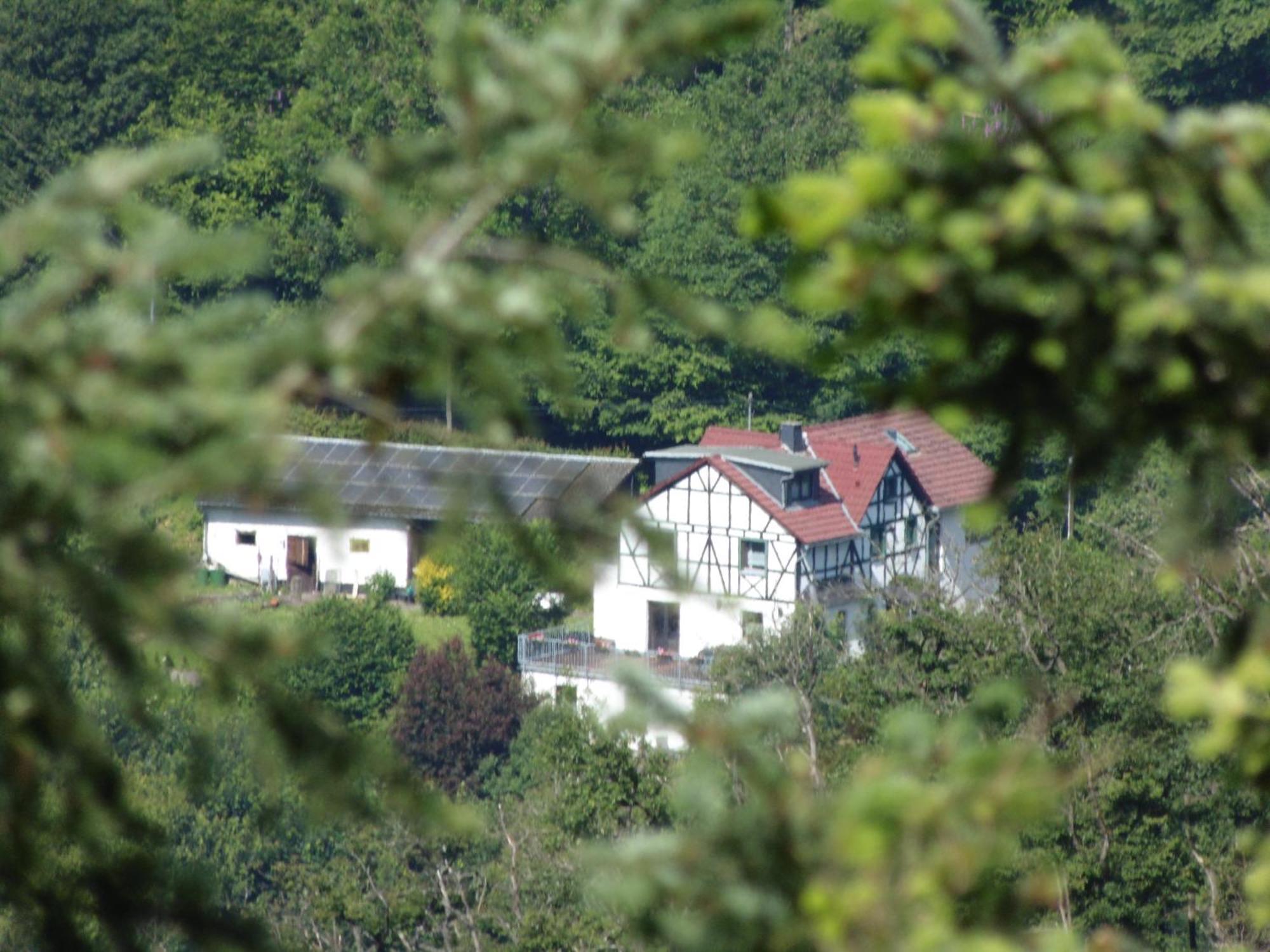Ferienwohnung Schaefer Waldbreitbach Exterior foto